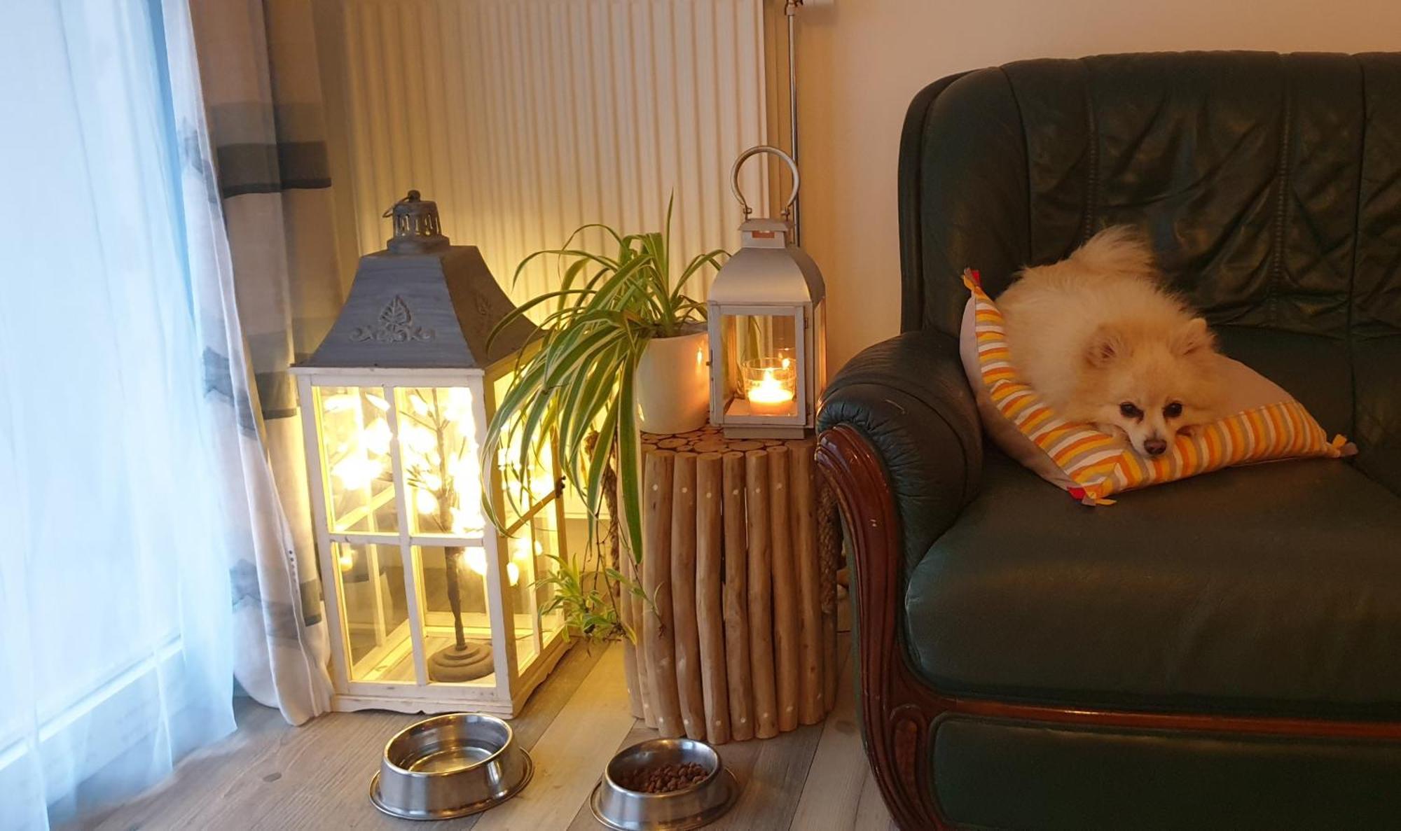 Nergens Apartment Rotterdam Ngoại thất bức ảnh
