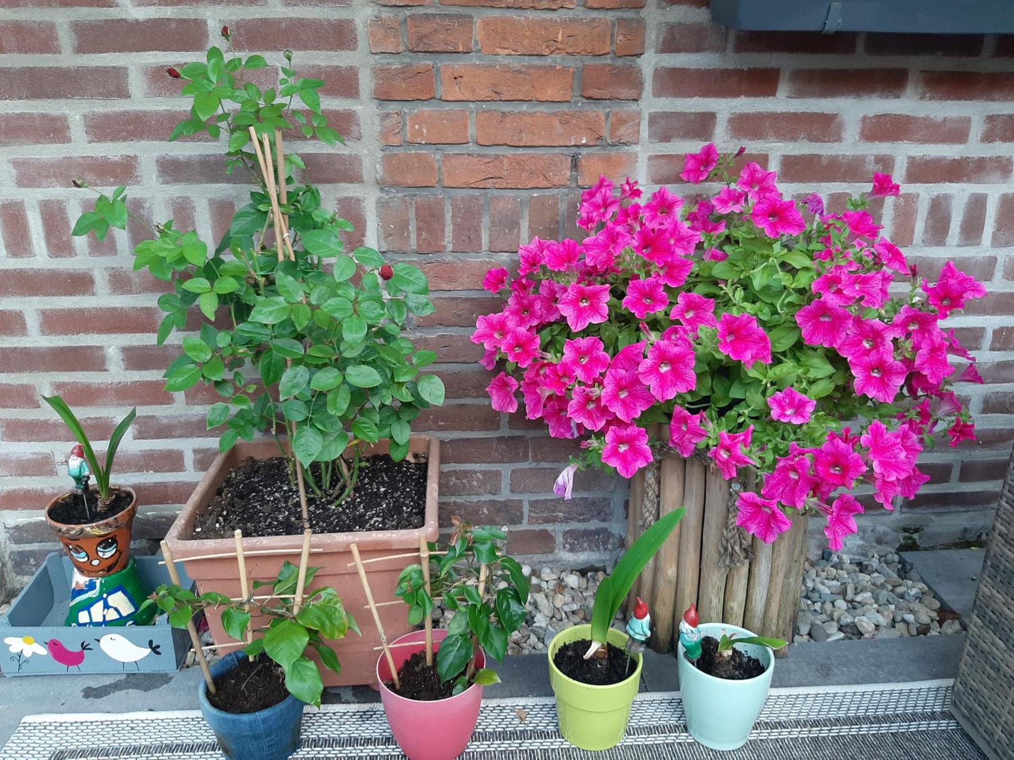 Nergens Apartment Rotterdam Ngoại thất bức ảnh